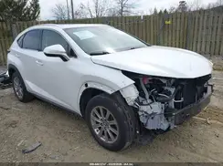 JTJDARDZXM5022069 2021 LEXUS NX