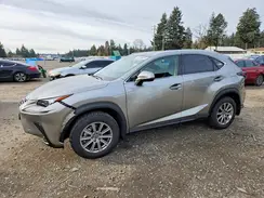 JTJDARDZXM5031970 2021 LEXUS NX