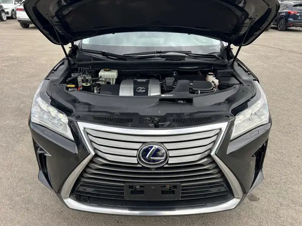JTJDGKCAXJ2001172 2018 LEXUS RX - Image 8