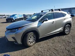 JTJDJRDZ1L2126806 2020 LEXUS NX