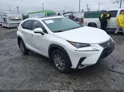 JTJDJRDZ1M5014118 2021 LEXUS NX