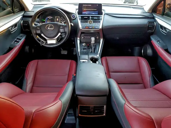 JTJDJRDZ3L2126175 2020 LEXUS NX - Image 8