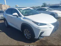 JTJDJRDZ4M2159185 2021 LEXUS NX