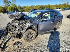 JTJDJRDZ5L2128963 2020 LEXUS NX