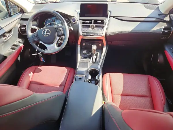 JTJDJRDZXL2130692 2020 LEXUS NX - Image 8