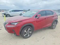 JTJGARBZ0M5032724 2021 LEXUS NX