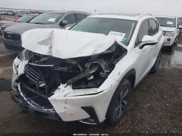 JTJGARBZ1L5012027 2020 LEXUS NX - Image 2