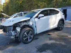 JTJGARBZ1L5013453 2020 LEXUS NX