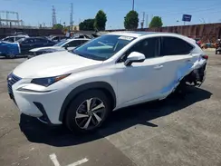 JTJGARBZ1M5030979 2021 LEXUS NX