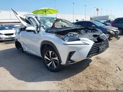 JTJGARBZ1M5034000 2021 LEXUS NX