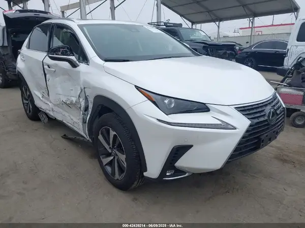 JTJGARBZ2L2160592 2020 LEXUS NX - Image 1
