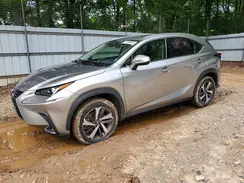 JTJGARBZ2M5034636 2021 LEXUS NX
