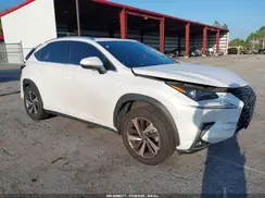 JTJGARBZ3M5020843 2021 LEXUS NX