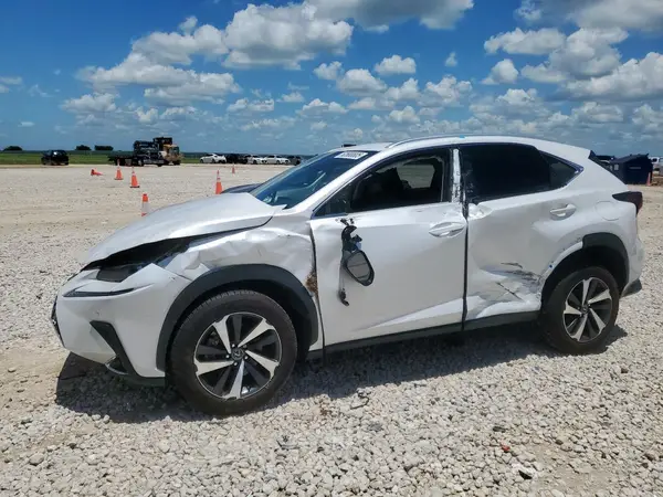 JTJGARBZ3M5023239 2021 LEXUS NX - Image 1