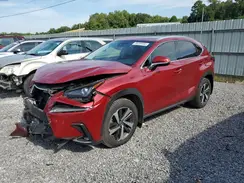 JTJGARBZ3M5033138 2021 LEXUS NX