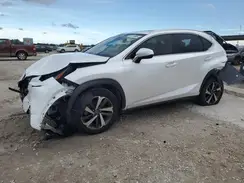 JTJGARBZ4L5006657 2020 LEXUS NX