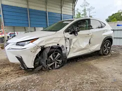 JTJGARBZ4M5020687 2021 LEXUS NX
