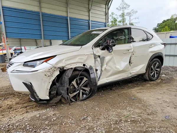 JTJGARBZ4M5020687 2021 LEXUS NX - Image 1