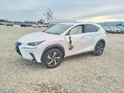 JTJGARBZ4M5031074 2021 LEXUS NX