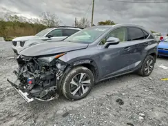 JTJGARBZ5L2172915 2020 LEXUS NX