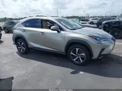 JTJGARBZ5M2181146 2021 LEXUS NX
