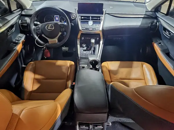 JTJGARBZ6L5001170 2020 LEXUS NX - Image 8