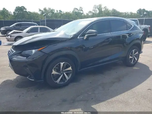 JTJGARBZ6M2180667 2021 LEXUS NX - Image 2