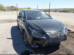 JTJGARBZ6M2187313 2021 LEXUS NX