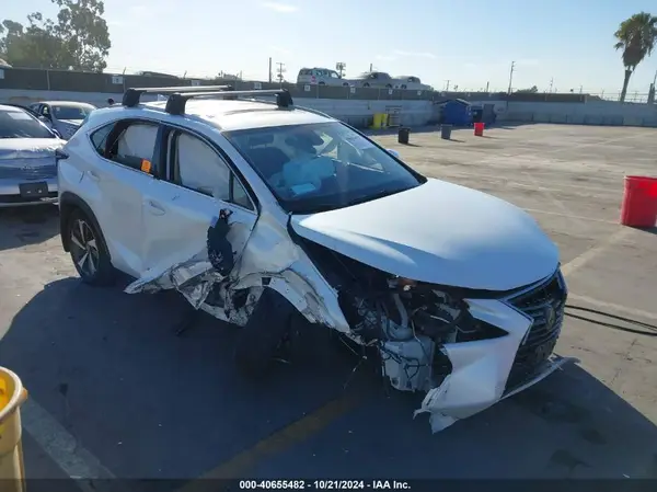 JTJGARBZ6M2200934 2021 LEXUS NX - Image 1