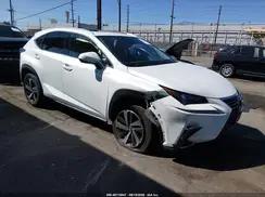 JTJGARBZ6M5031013 2021 LEXUS NX