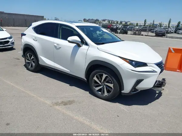 JTJGARBZ6M5033019 2021 LEXUS NX - Image 1