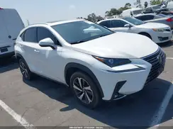 JTJGARBZ7M5028332 2021 LEXUS NX