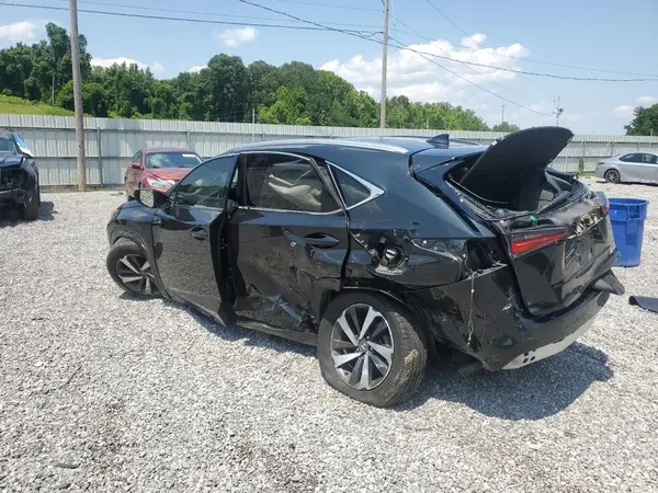 JTJGARBZ8L5004765 2020 LEXUS NX - Image 2