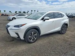 JTJGARBZ8M5021079 2021 LEXUS NX