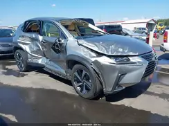 JTJGARBZ9M2195101 2021 LEXUS NX
