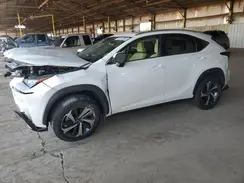 JTJGARBZ9M5035833 2021 LEXUS NX