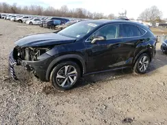 JTJGARDZ0L2221807 2020 LEXUS NX