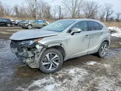 JTJGARDZ0L5003459 2020 LEXUS NX