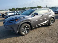 JTJGARDZ0L5004403 2020 LEXUS NX