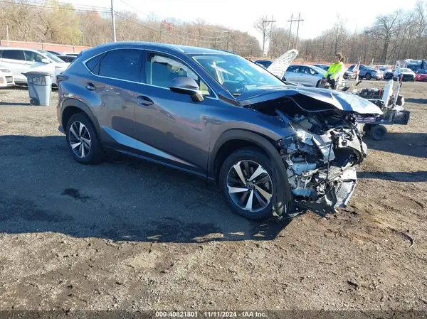 JTJGARDZ0L5016051 2020 LEXUS NX - Image 1