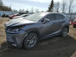 JTJGARDZ0M2238298 2021 LEXUS NX
