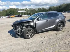 JTJGARDZ0M2239676 2021 LEXUS NX