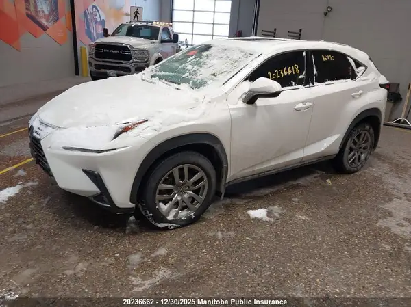 JTJGARDZ0M5026838 2021 LEXUS NX - Image 2