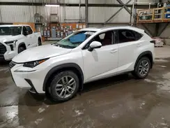 JTJGARDZ0M5027049 2021 LEXUS NX