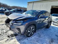 JTJGARDZ1L2232539 2020 LEXUS NX