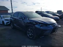 JTJGARDZ1M2243011 2021 LEXUS NX