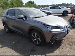 JTJGARDZ2L2232601 2020 LEXUS NX