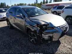 JTJGARDZ2M2243406 2021 LEXUS NX