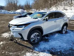 JTJGARDZ2M5023018 2021 LEXUS NX