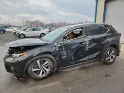 JTJGARDZ3L5005156 2020 LEXUS NX
